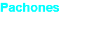 Pachones